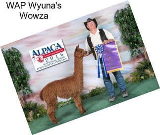 WAP Wyuna\'s Wowza