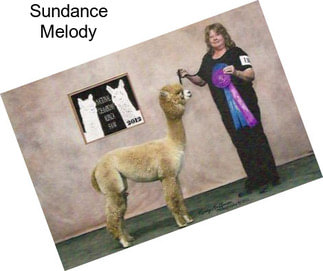 Sundance Melody