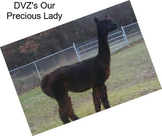 DVZ\'s Our Precious Lady