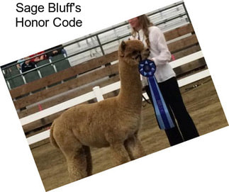 Sage Bluff\'s Honor Code