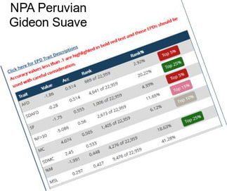 NPA Peruvian Gideon Suave