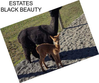 ESTATES BLACK BEAUTY