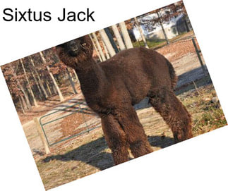 Sixtus Jack