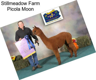 Stillmeadow Farm Picola Moon