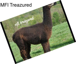 MFI Treazured