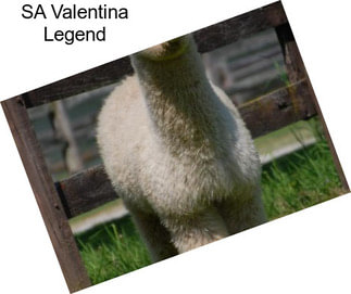 SA Valentina Legend