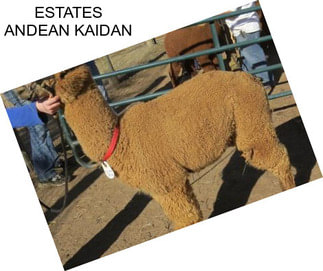 ESTATES ANDEAN KAIDAN