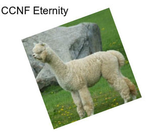 CCNF Eternity