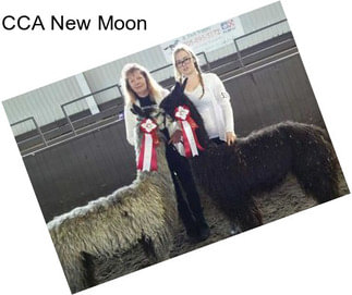 CCA New Moon