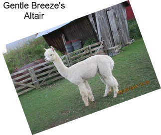 Gentle Breeze\'s Altair