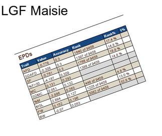 LGF Maisie