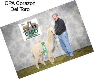 CPA Corazon Del Toro