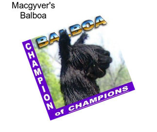 Macgyver\'s Balboa