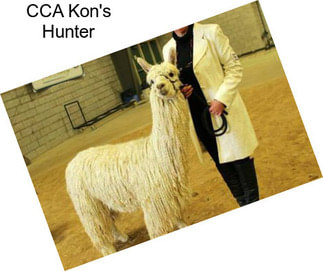 CCA Kon\'s Hunter