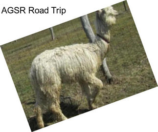 AGSR Road Trip