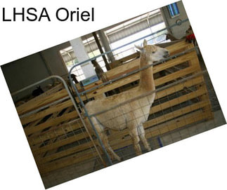 LHSA Oriel