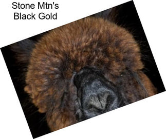 Stone Mtn\'s Black Gold