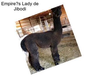 Empire?s Lady de Jibodi