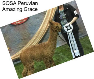 SOSA Peruvian Amazing Grace