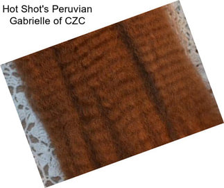 Hot Shot\'s Peruvian Gabrielle of CZC