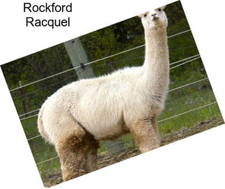 Rockford Racquel