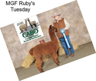 MGF Ruby\'s Tuesday