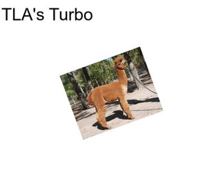 TLA\'s Turbo