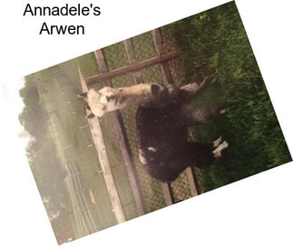 Annadele\'s Arwen