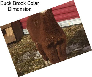 Buck Brook Solar Dimension