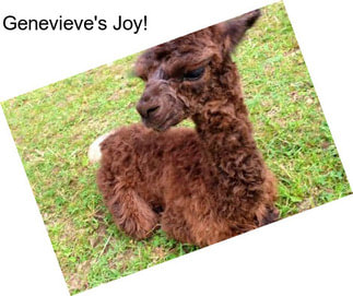 Genevieve\'s Joy!