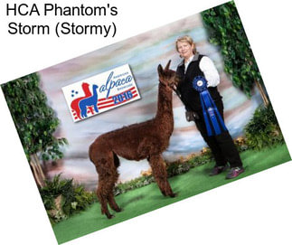 HCA Phantom\'s Storm (Stormy)