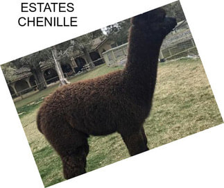 ESTATES CHENILLE