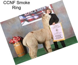 CCNF Smoke Ring