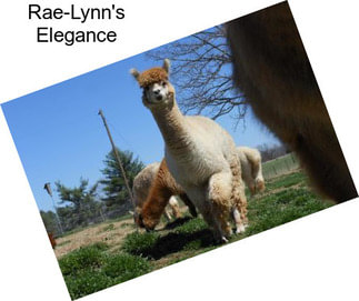 Rae-Lynn\'s Elegance