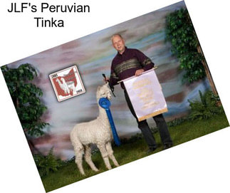 JLF\'s Peruvian Tinka