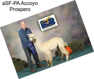 ASF-PA Accoyo Prospero