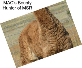 MAC\'s Bounty Hunter of MSR