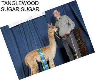 TANGLEWOOD SUGAR SUGAR