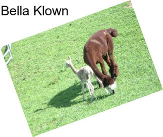 Bella Klown