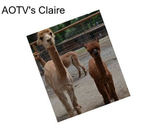 AOTV\'s Claire