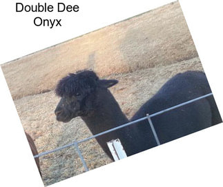 Double Dee Onyx