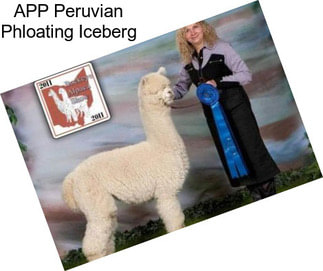 APP Peruvian Phloating Iceberg