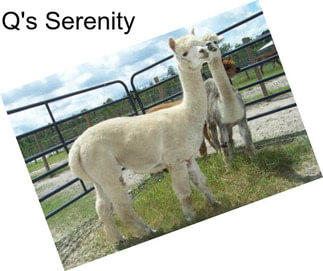 Q\'s Serenity