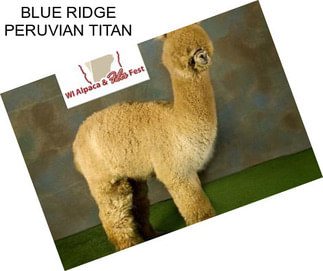 BLUE RIDGE PERUVIAN TITAN