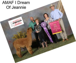 AMAF I Dream Of Jeannie