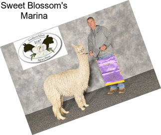 Sweet Blossom\'s Marina