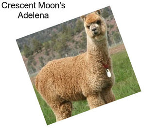 Crescent Moon\'s Adelena