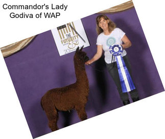 Commandor\'s Lady Godiva of WAP