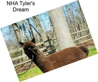 NHA Tyler\'s Dream