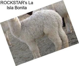 ROCKSTAR\'s La Isla Bonita